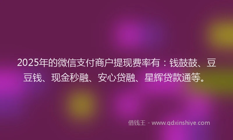 2025年的微信支付商户提现费率有：钱鼓鼓、豆豆钱、现金秒融、安心贷融、星辉贷款通等。