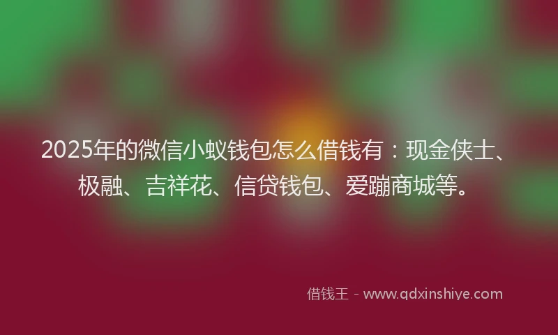 2025年的微信小蚁钱包怎么借钱有：现金侠士、极融、吉祥花、信贷钱包、爱蹦商城等。