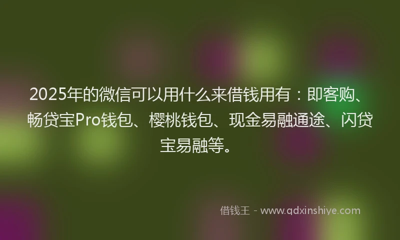 2025年的微信可以用什么来借钱用有：即客购、畅贷宝Pro钱包、樱桃钱包、现金易融通途、闪贷宝易融等。