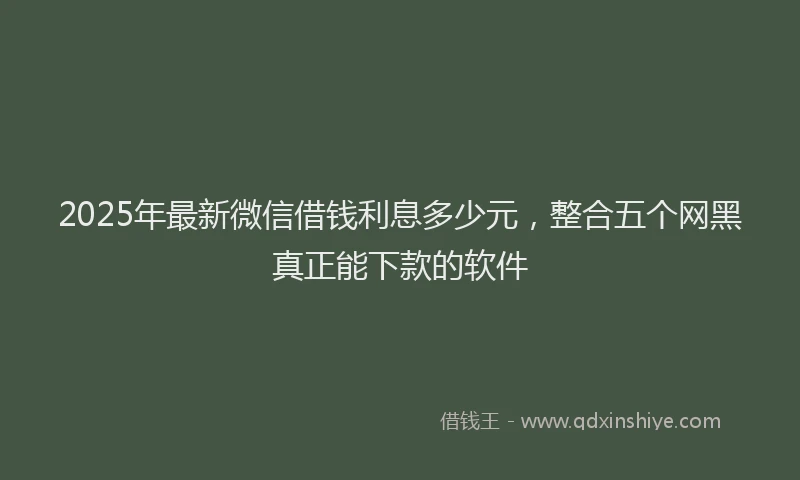 2025年最新微信借钱利息多少元，整合五个网黑真正能下款的软件