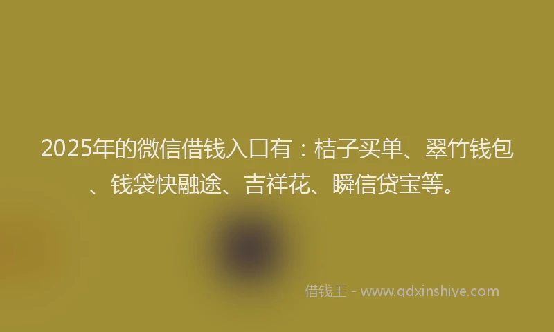 2025年的微信借钱入口有：桔子买单、翠竹钱包、钱袋快融途、吉祥花、瞬信贷宝等。