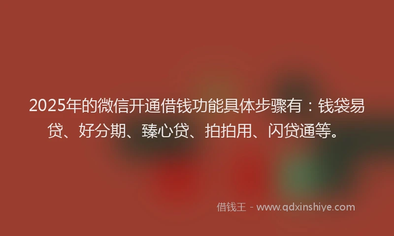 2025年的微信开通借钱功能具体步骤有：钱袋易贷、好分期、臻心贷、拍拍用、闪贷通等。