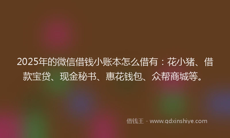 2025年的微信借钱小账本怎么借有：花小猪、借款宝贷、现金秘书、惠花钱包、众帮商城等。