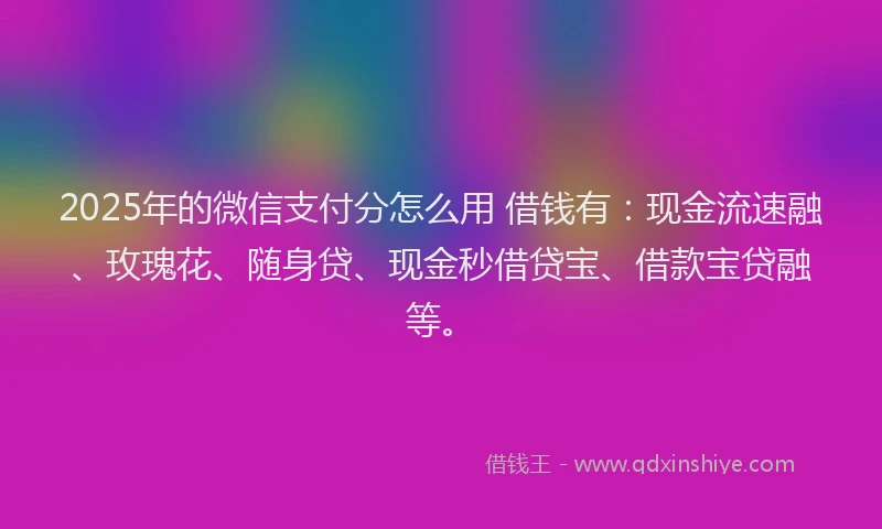 2025年的微信支付分怎么用 借钱有：现金流速融、玫瑰花、随身贷、现金秒借贷宝、借款宝贷融等。