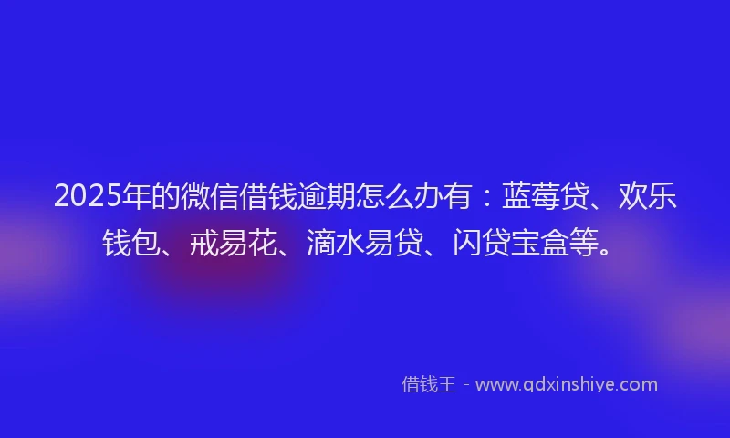 2025年的微信借钱逾期怎么办有：蓝莓贷、欢乐钱包、戒易花、滴水易贷、闪贷宝盒等。