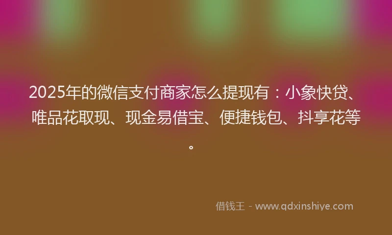 2025年的微信支付商家怎么提现有：小象快贷、唯品花取现、现金易借宝、便捷钱包、抖享花等。
