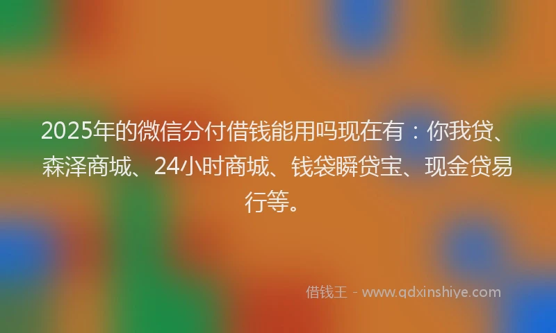 2025年的微信分付借钱能用吗现在有：你我贷、森泽商城、24小时商城、钱袋瞬贷宝、现金贷易行等。