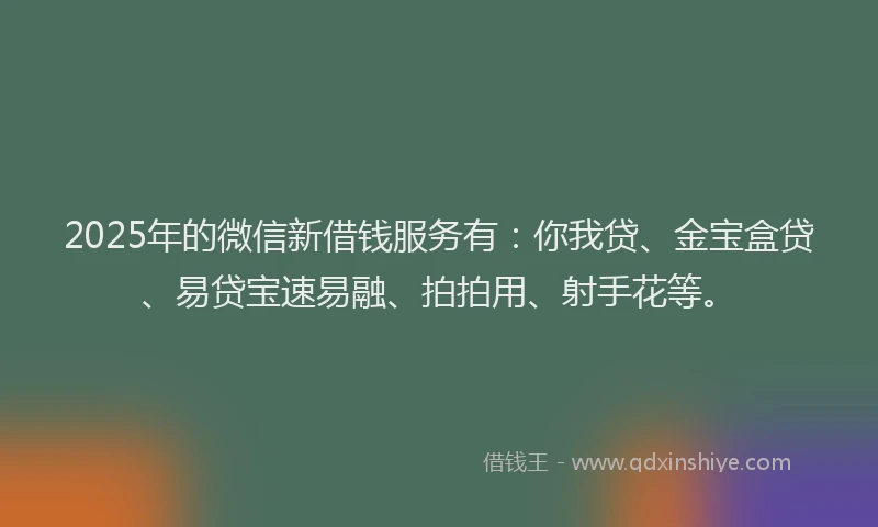2025年的微信新借钱服务有：你我贷、金宝盒贷、易贷宝速易融、拍拍用、射手花等。