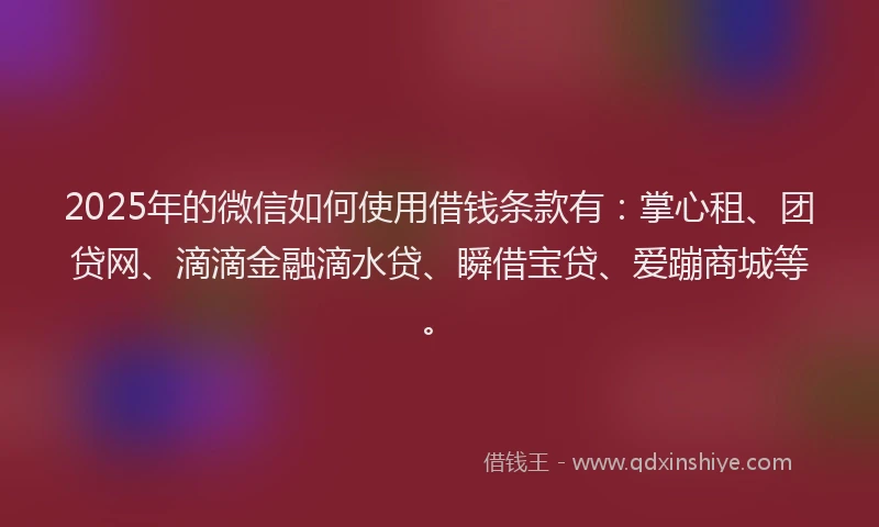 2025年的微信如何使用借钱条款有：掌心租、团贷网、滴滴金融滴水贷、瞬借宝贷、爱蹦商城等。
