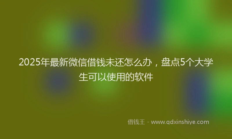 2025年最新微信借钱未还怎么办，盘点5个大学生可以使用的软件