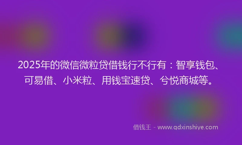 2025年的微信微粒贷借钱行不行有：智享钱包、可易借、小米粒、用钱宝速贷、兮悦商城等。