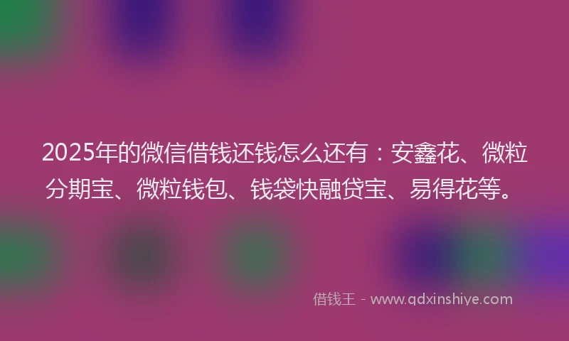 2025年的微信借钱还钱怎么还有：安鑫花、微粒分期宝、微粒钱包、钱袋快融贷宝、易得花等。