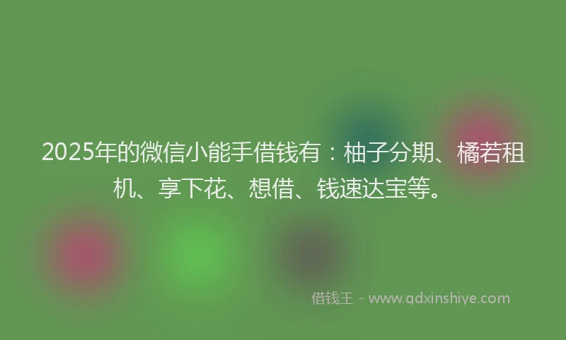 2025年的微信小能手借钱有：柚子分期、橘若租机、享下花、想借、钱速达宝等。