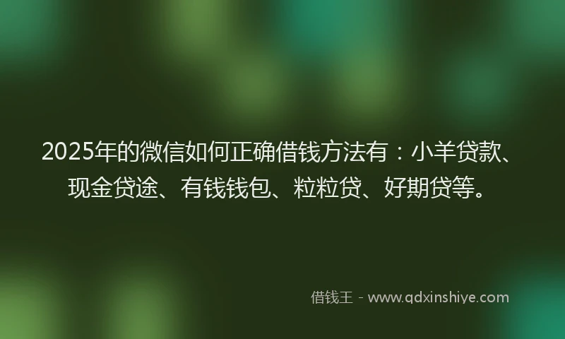 2025年的微信如何正确借钱方法有：小羊贷款、现金贷途、有钱钱包、粒粒贷、好期贷等。