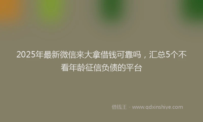 2025年最新微信来大拿借钱可靠吗，汇总5个不看年龄征信负债的平台