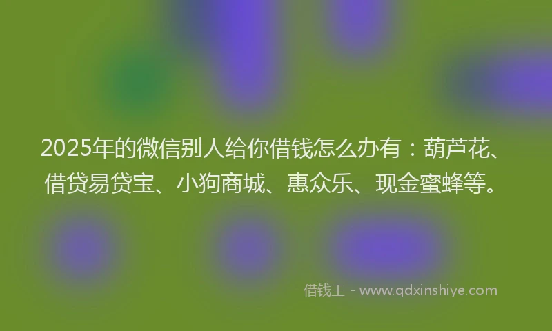 2025年的微信别人给你借钱怎么办有：葫芦花、借贷易贷宝、小狗商城、惠众乐、现金蜜蜂等。