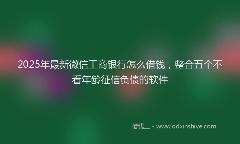 2025年最新微信工商银行怎么借钱，整合五个不看年龄征信负债的软件