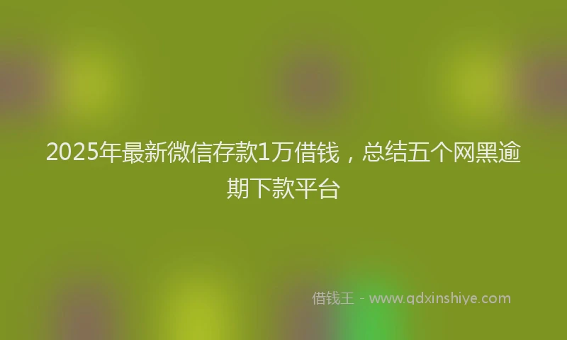 2025年最新微信存款1万借钱，总结五个网黑逾期下款平台