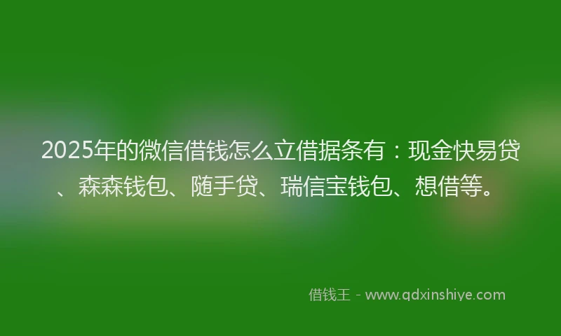 2025年的微信借钱怎么立借据条有：现金快易贷、森森钱包、随手贷、瑞信宝钱包、想借等。