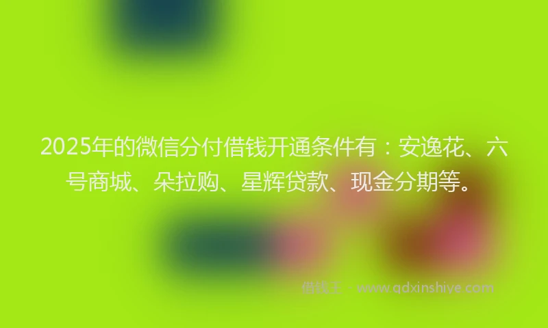 2025年的微信分付借钱开通条件有:安逸花、六号商城、朵拉购、星辉贷款、现金分期等。