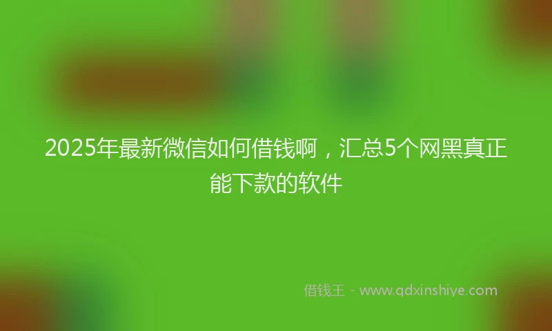 2025年最新微信如何借钱啊，汇总5个网黑真正能下款的软件