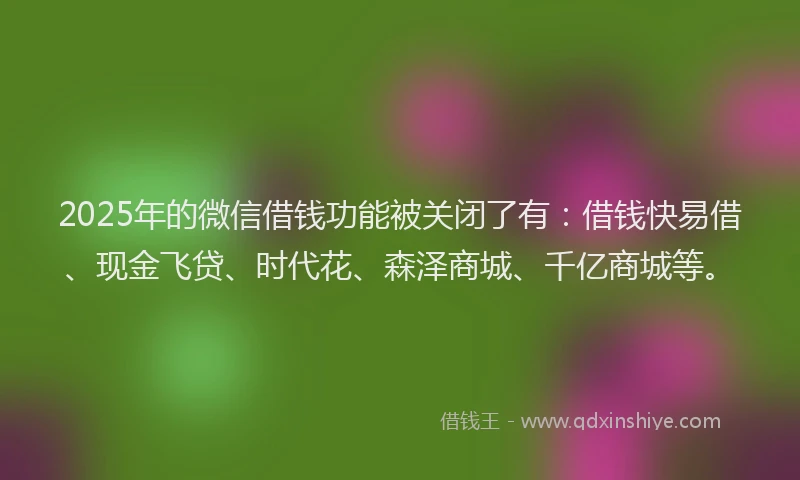 2025年的微信借钱功能被关闭了有：借钱快易借、现金飞贷、时代花、森泽商城、千亿商城等。