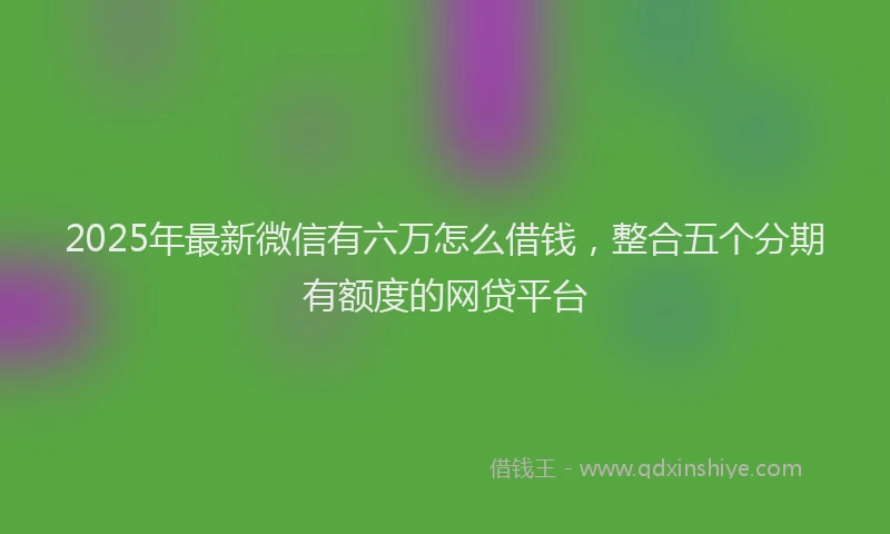 2025年最新微信有六万怎么借钱，整合五个分期有额度的网贷平台