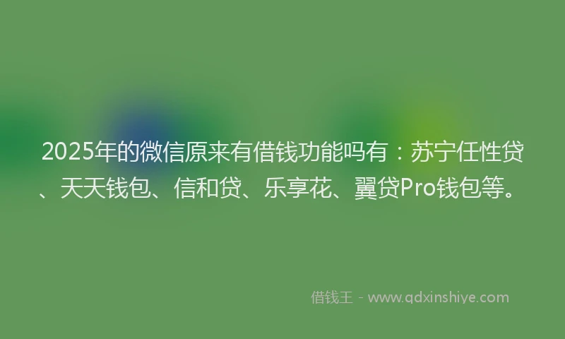 2025年的微信原来有借钱功能吗有：苏宁任性贷、天天钱包、信和贷、乐享花、翼贷Pro钱包等。