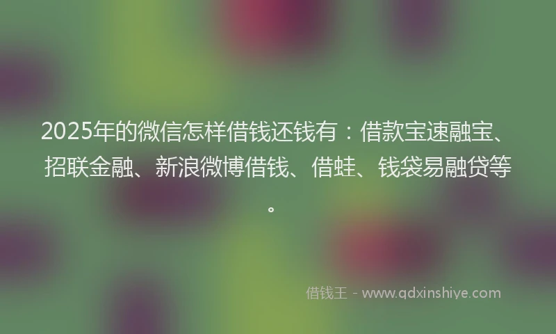 2025年的微信怎样借钱还钱有：借款宝速融宝、招联金融、新浪微博借钱、借蛙、钱袋易融贷等。
