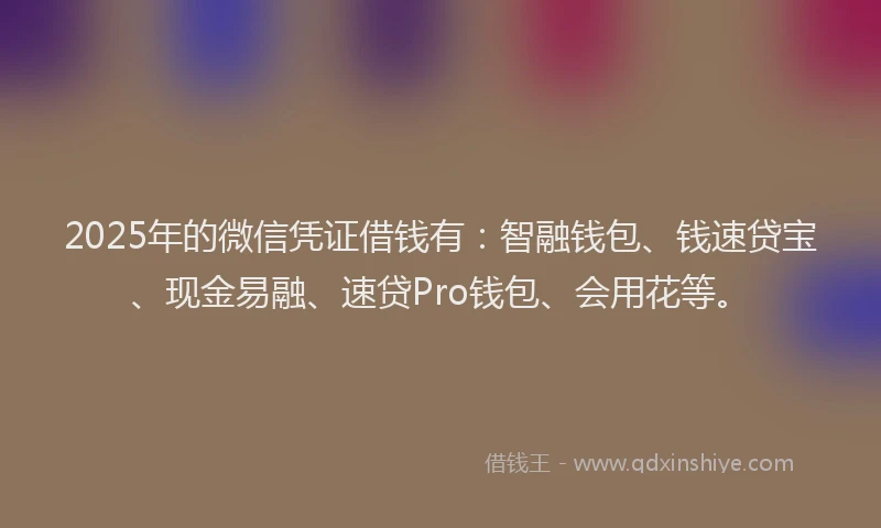 2025年的微信凭证借钱有：智融钱包、钱速贷宝、现金易融、速贷Pro钱包、会用花等。