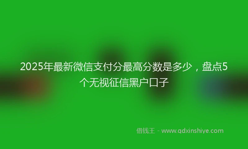 2025年最新微信支付分最高分数是多少，盘点5个无视征信黑户口子