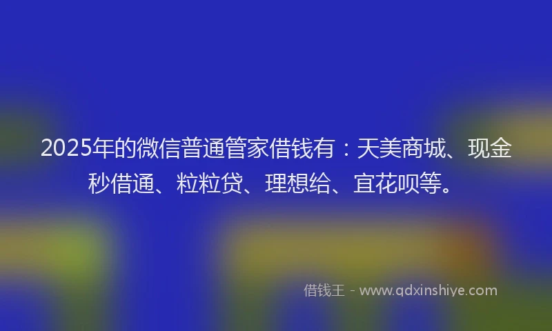 2025年的微信普通管家借钱有：天美商城、现金秒借通、粒粒贷、理想给、宜花呗等。
