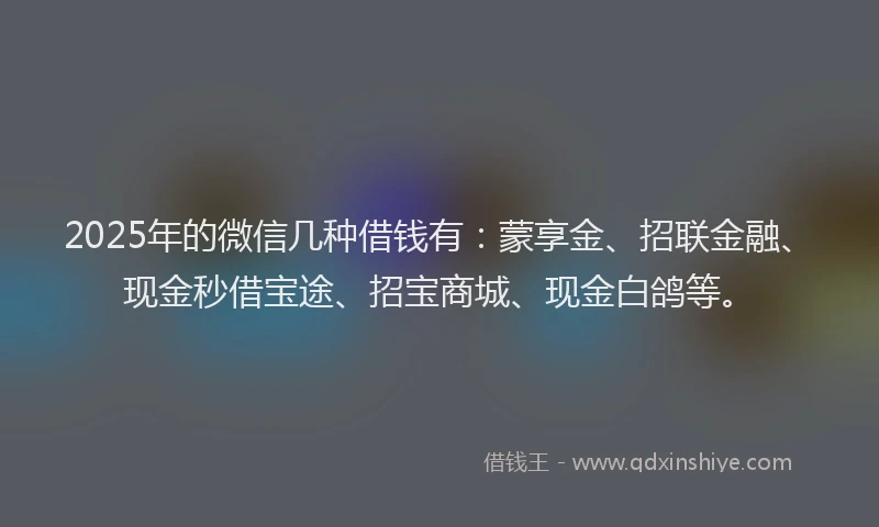 2025年的微信几种借钱有：蒙享金、招联金融、现金秒借宝途、招宝商城、现金白鸽等。
