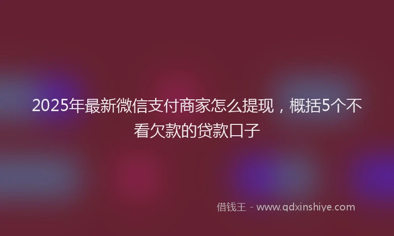 2025年最新微信支付商家怎么提现，概括5个不看欠款的贷款口子