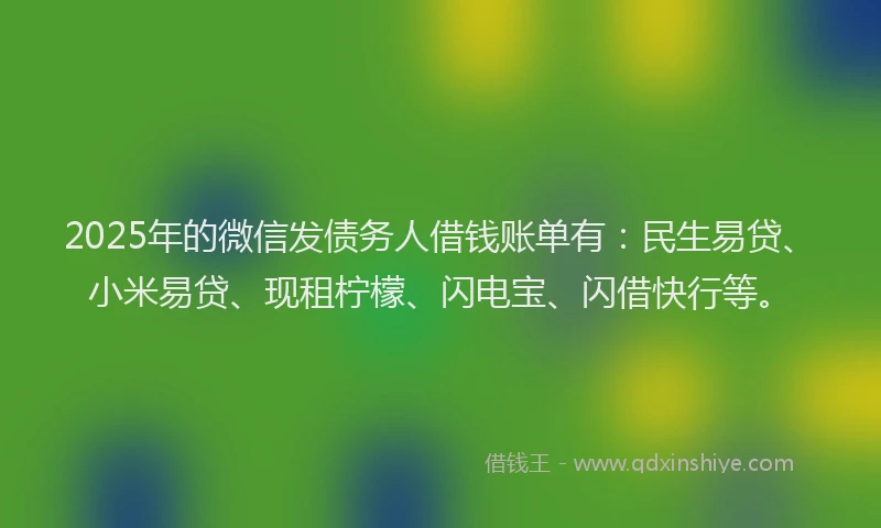 2025年的微信发债务人借钱账单有：民生易贷、小米易贷、现租柠檬、闪电宝、闪借快行等。