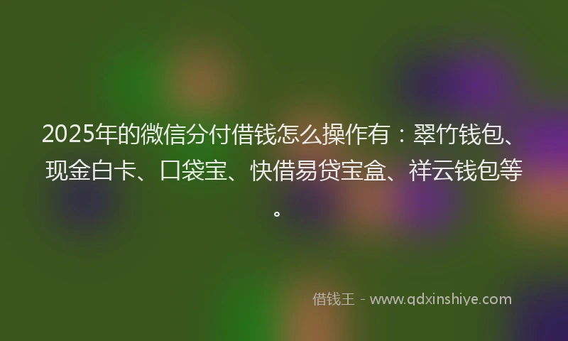 2025年的微信分付借钱怎么操作有：翠竹钱包、现金白卡、口袋宝、快借易贷宝盒、祥云钱包等。