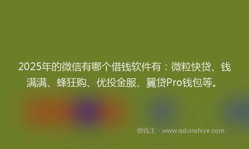 2025年的微信有哪个借钱软件有：微粒快贷、钱满满、蜂狂购、优投金服、翼贷Pro钱包等。