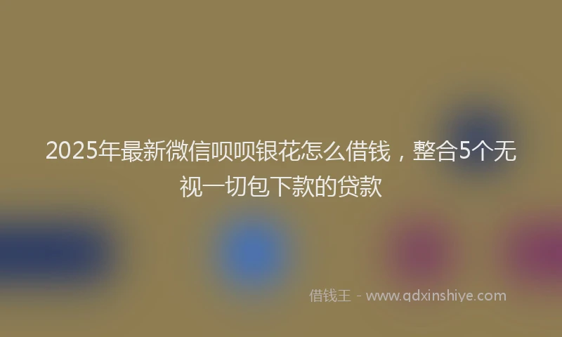 2025年最新微信呗呗银花怎么借钱，整合5个无视一切包下款的贷款
