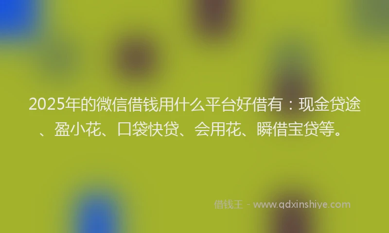2025年的微信借钱用什么平台好借有：现金贷途、盈小花、口袋快贷、会用花、瞬借宝贷等。