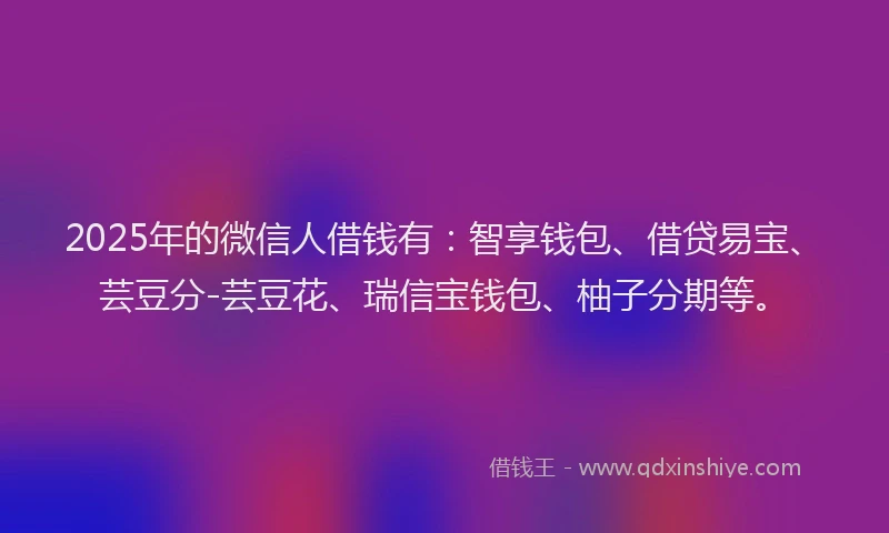 2025年的微信人借钱有：智享钱包、借贷易宝、芸豆分-芸豆花、瑞信宝钱包、柚子分期等。
