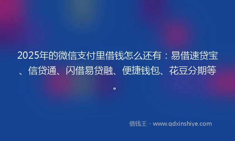 2025年的微信支付里借钱怎么还有：易借速贷宝、信贷通、闪借易贷融、便捷钱包、花豆分期等。