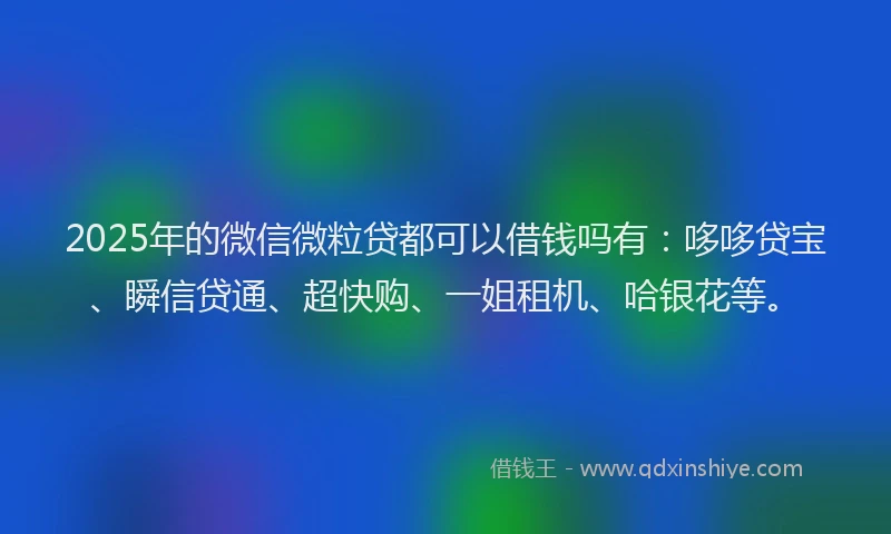 2025年的微信微粒贷都可以借钱吗有：哆哆贷宝、瞬信贷通、超快购、一姐租机、哈银花等。