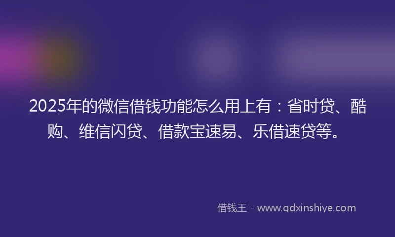 2025年的微信借钱功能怎么用上有：省时贷、酷购、维信闪贷、借款宝速易、乐借速贷等。