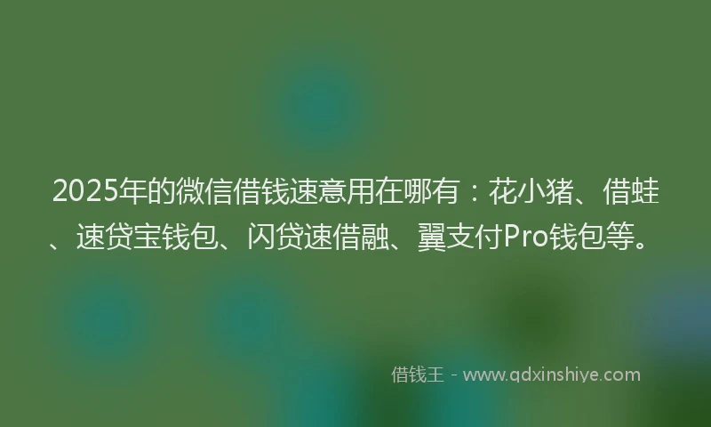 2025年的微信借钱速意用在哪有：花小猪、借蛙、速贷宝钱包、闪贷速借融、翼支付Pro钱包等。