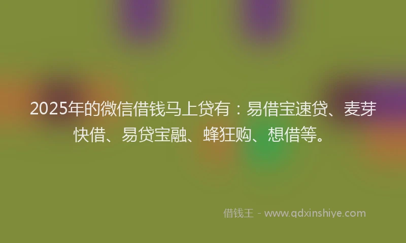 2025年的微信借钱马上贷有：易借宝速贷、麦芽快借、易贷宝融、蜂狂购、想借等。