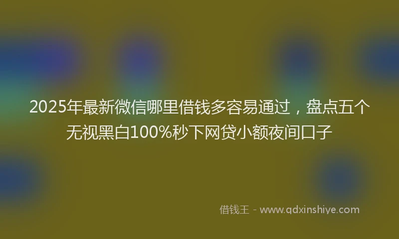 2025年最新微信哪里借钱多容易通过，盘点五个无视黑白100%秒下网贷小额夜间口子