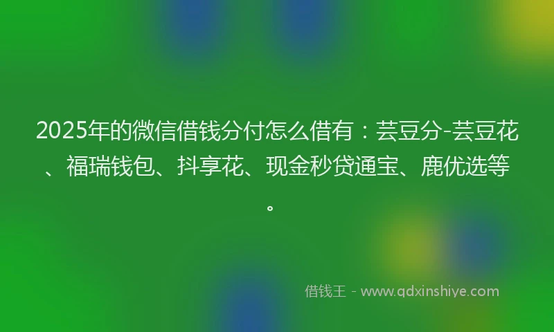 2025年的微信借钱分付怎么借有：芸豆分-芸豆花、福瑞钱包、抖享花、现金秒贷通宝、鹿优选等。