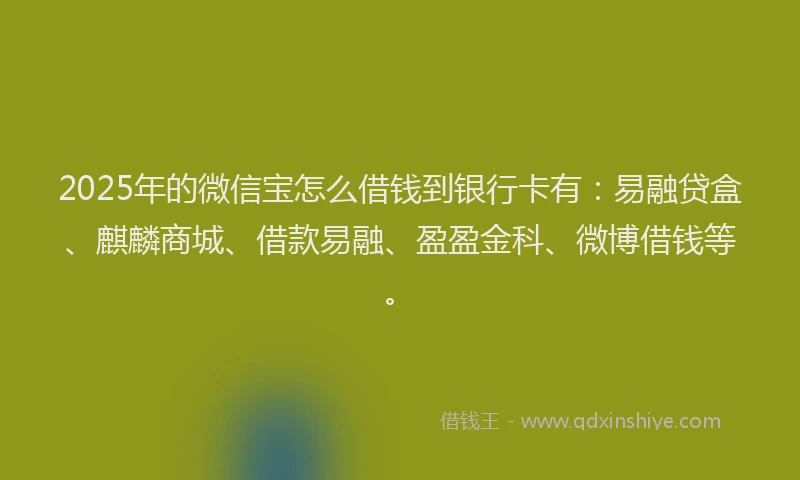 2025年的微信宝怎么借钱到银行卡有：易融贷盒、麒麟商城、借款易融、盈盈金科、微博借钱等。