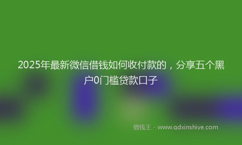2025年最新微信借钱如何收付款的，分享五个黑户0门槛贷款口子