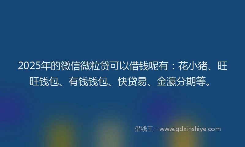 2025年的微信微粒贷可以借钱呢有：花小猪、旺旺钱包、有钱钱包、快贷易、金瀛分期等。